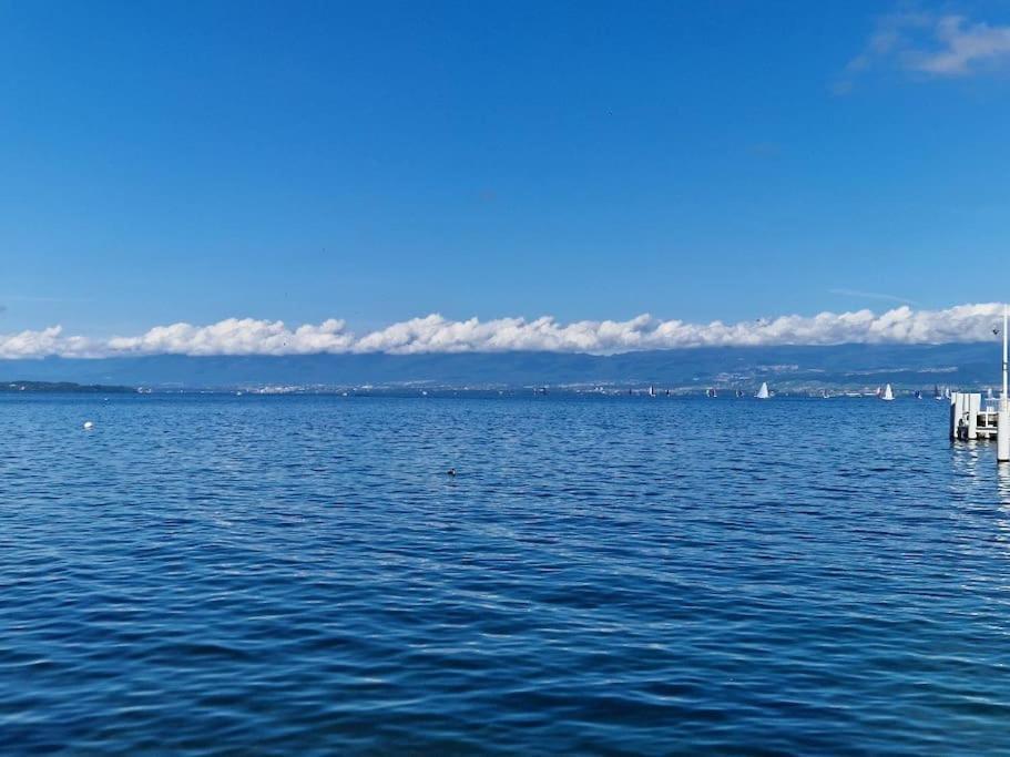 Les Mouettes Apartman Thonon-les-Bains Kültér fotó